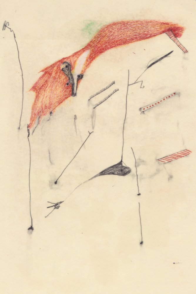 Snu som en ræv af Alexander Adiels