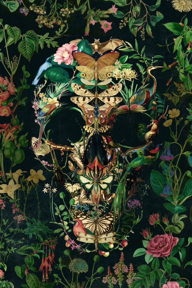 Mørk natur-kranium af Ali Gulec