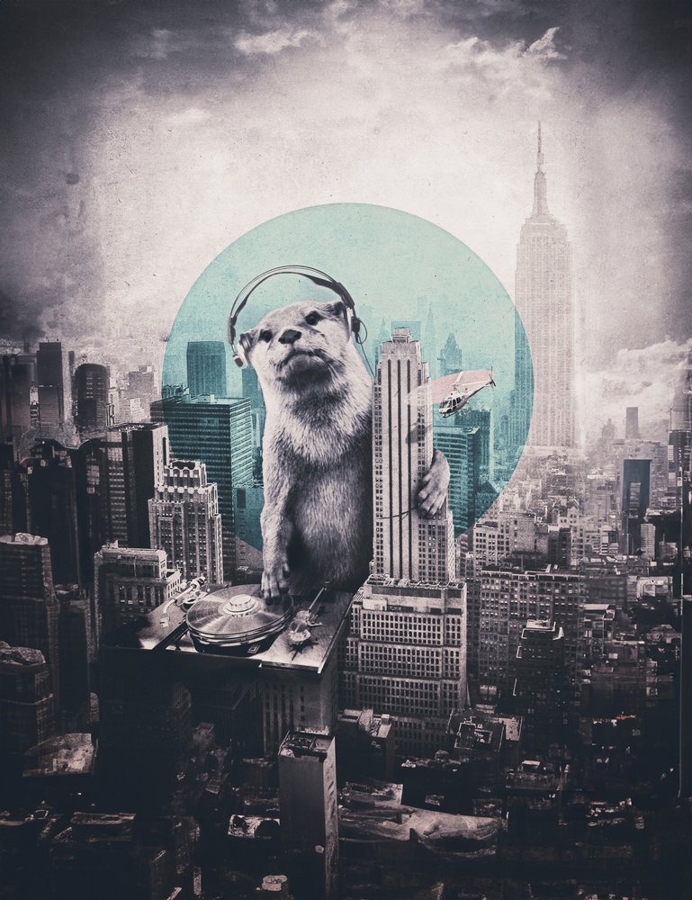 Urban Otter DJ af Ali Gulec
