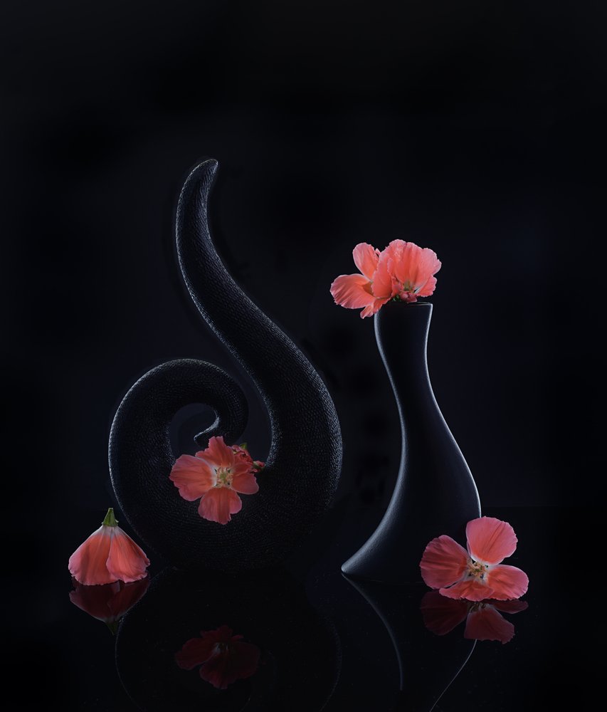 Koralblomster på sort baggrund af Alice Sheng