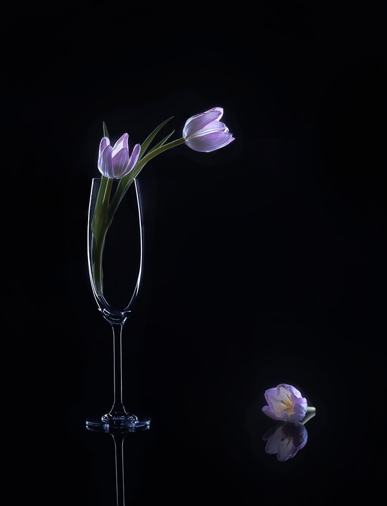 Elegante lilla tulipaner af Alice Sheng
