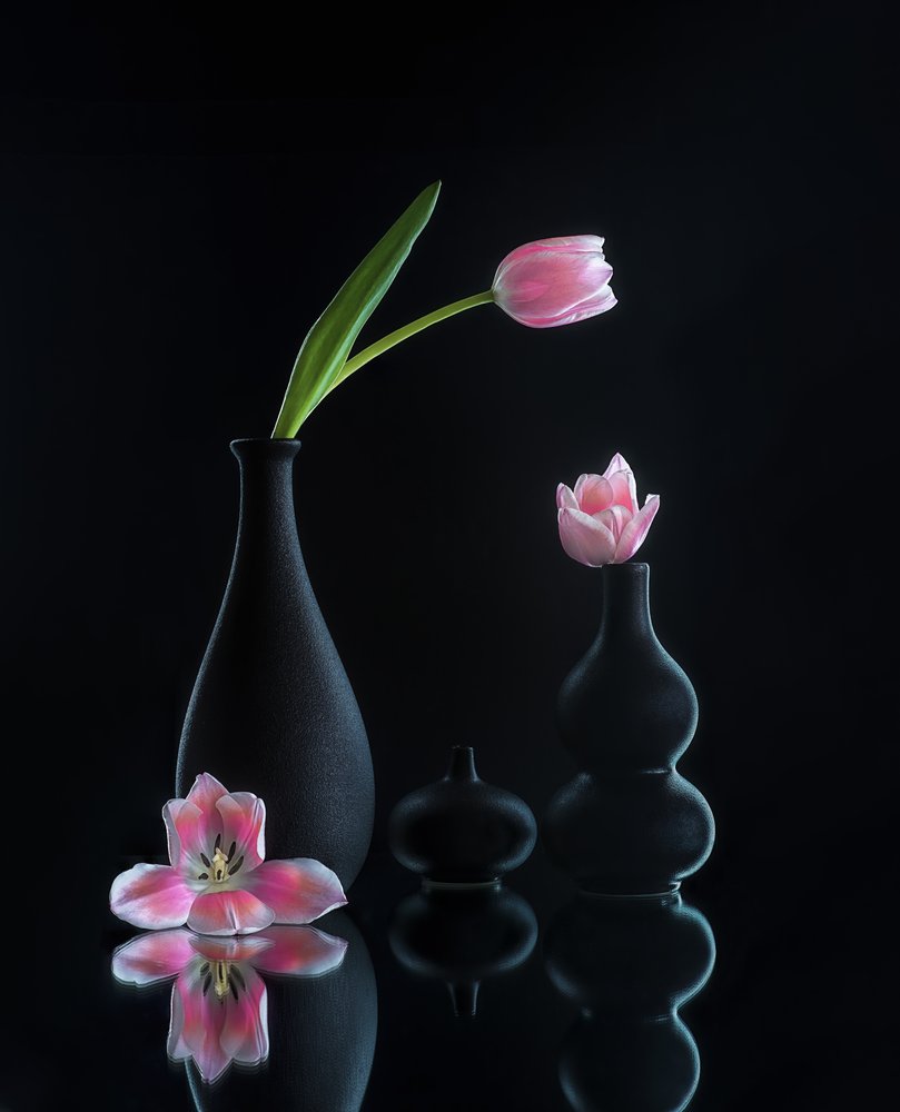 Elegante tulipanrefleksioner af Alice Sheng