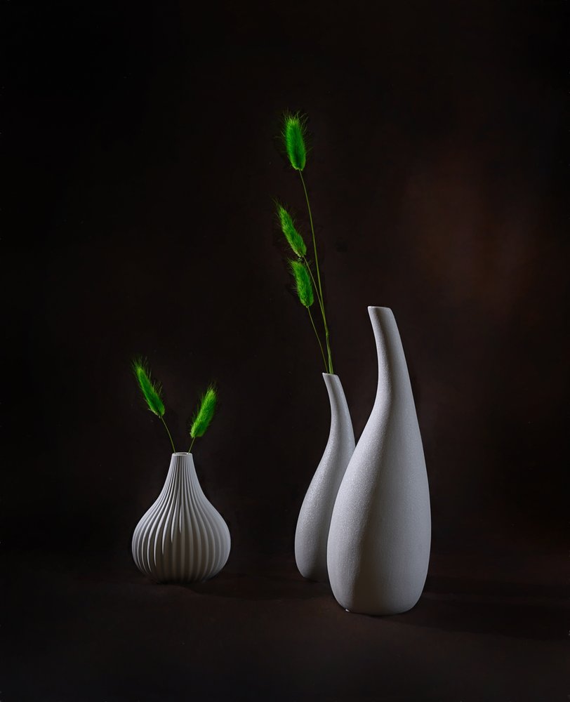 Elegante vaser med grønne planter af Alice Sheng