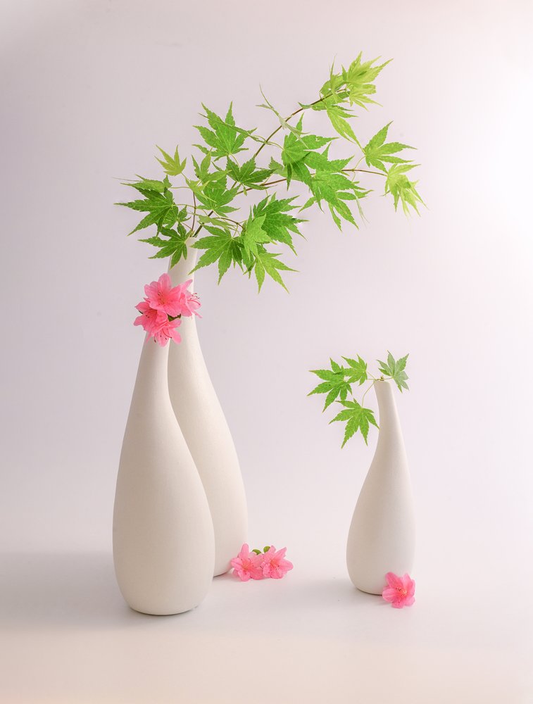 Grønne blade, lyserøde blomster af Alice Sheng