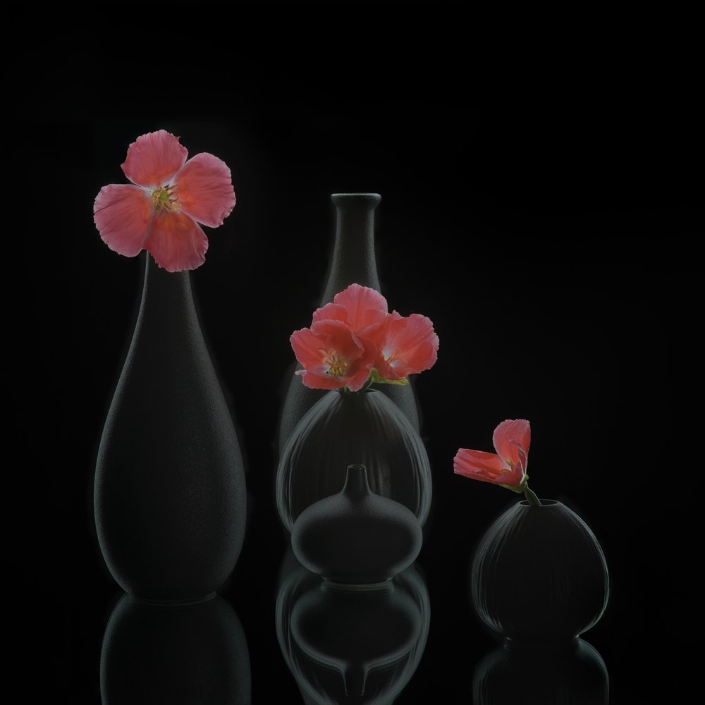 Minimalistiske blomstervaser af Alice Sheng