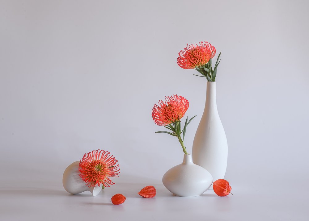 Orange Protea-vaser af Alice Sheng