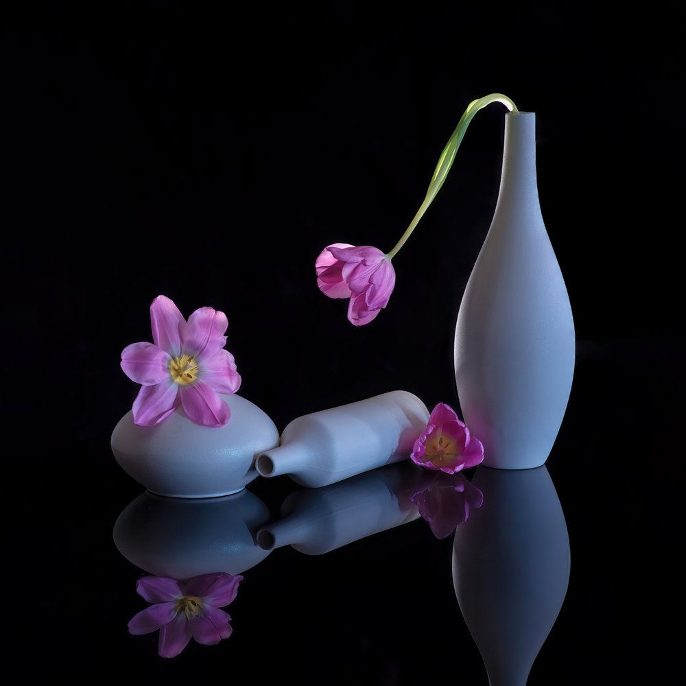 Lysreflekterende lilla tulipaner af Alice Sheng