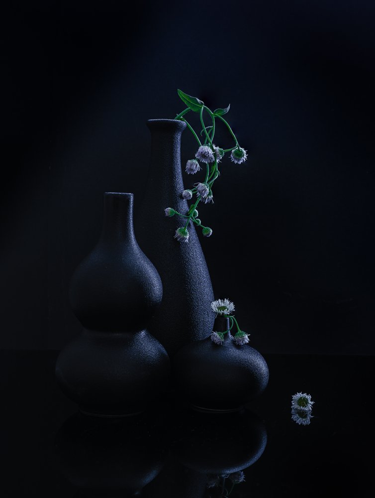 Fredfyldte vaser og blomster af Alice Sheng