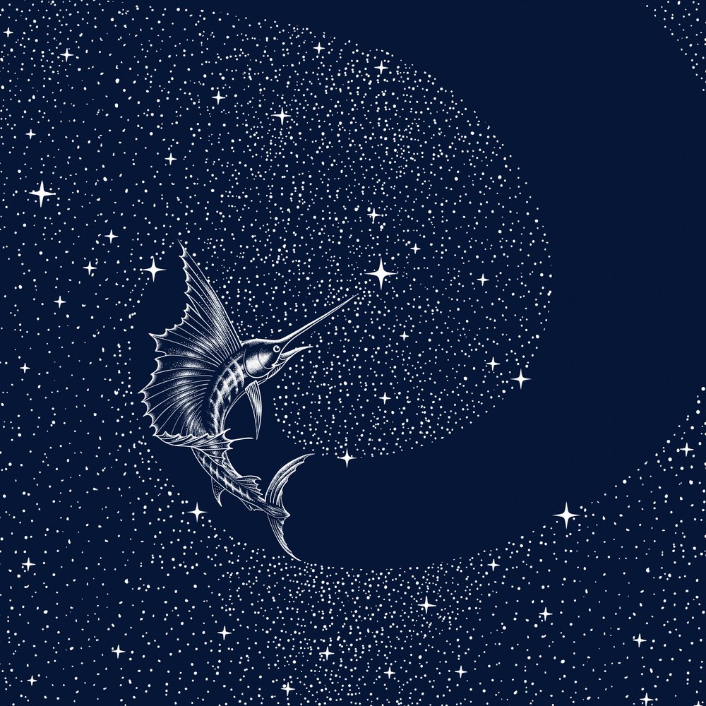 Himmelssejlfisk af Alirıza ÇAKIR