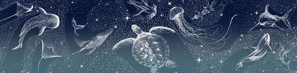 Himmelske havdyr af Alirıza ÇAKIR