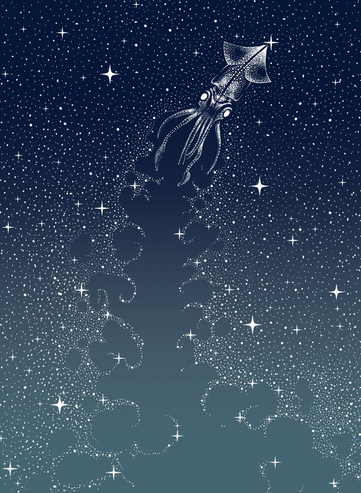 Den himmelske blækspruttes opstigning af Alirıza ÇAKIR