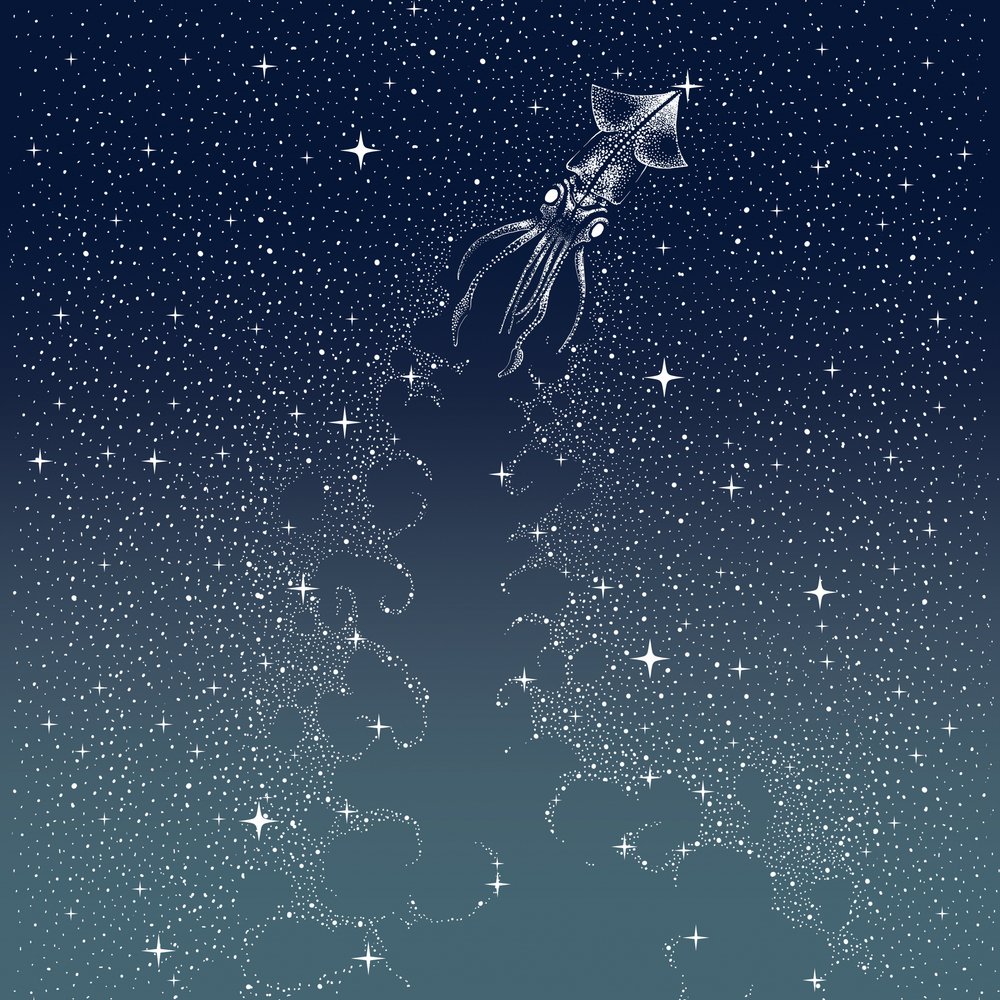 Den himmelske blækspruttes flyvning af Alirıza ÇAKIR