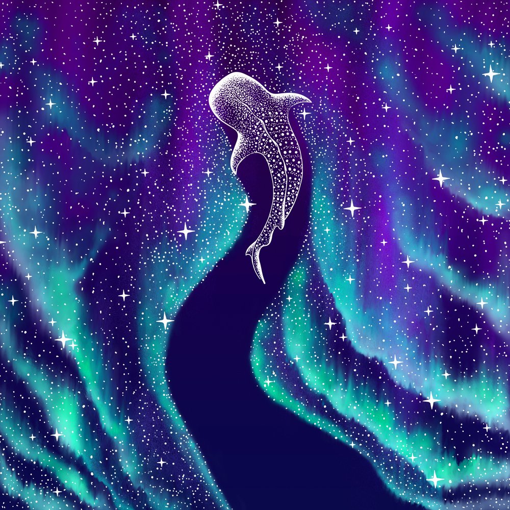 Den himmelske hvalhaj af Alirıza ÇAKIR