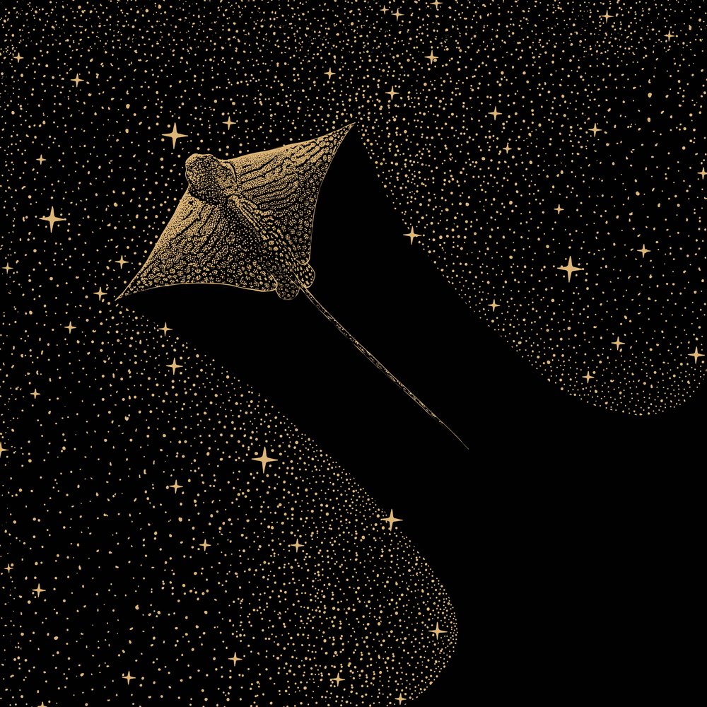 Kosmisk ørnerokke af Alirıza ÇAKIR