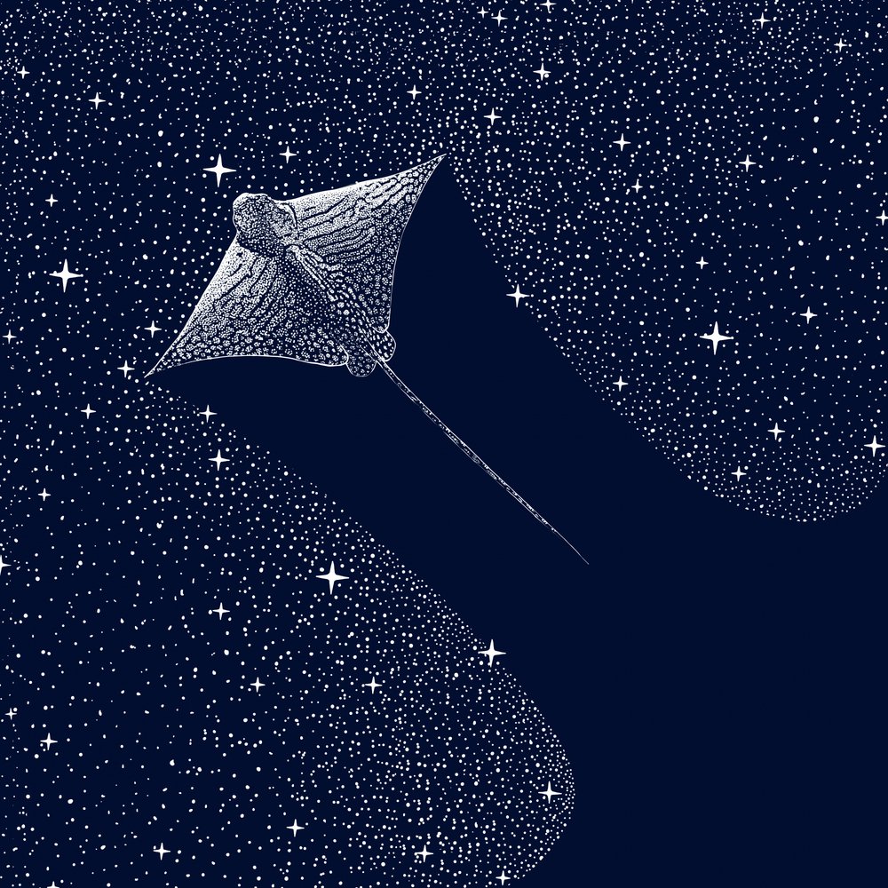 Kosmisk ørnerokke af Alirıza ÇAKIR