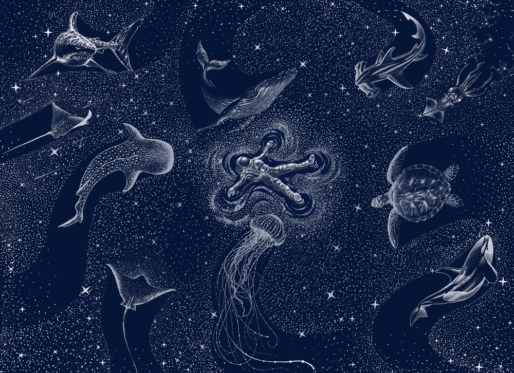 Kosmisk havdrøm af Alirıza ÇAKIR