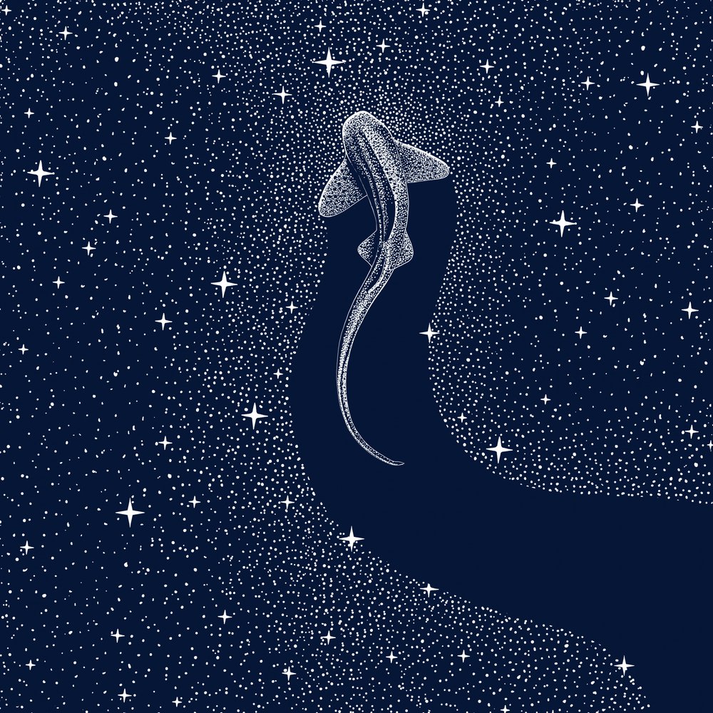 Kosmisk haj af Alirıza ÇAKIR