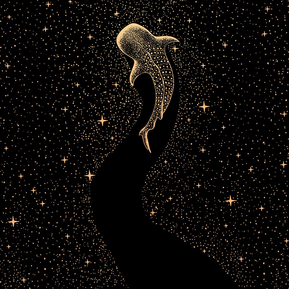 Den kosmiske hvalhaj af Alirıza ÇAKIR