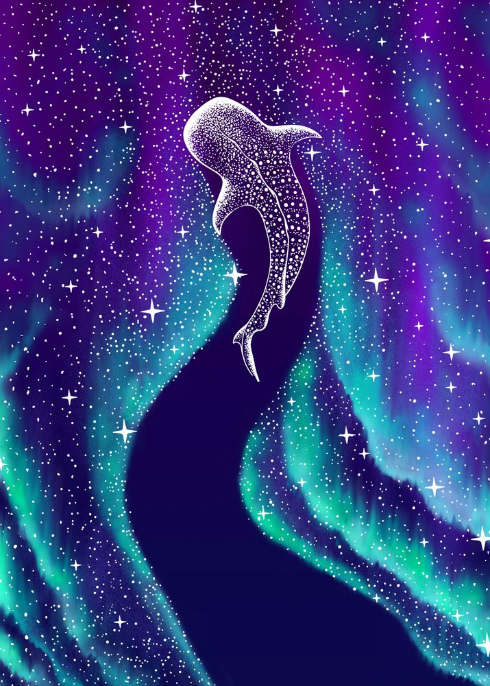 Nordlys og hvalhaj af Alirıza ÇAKIR