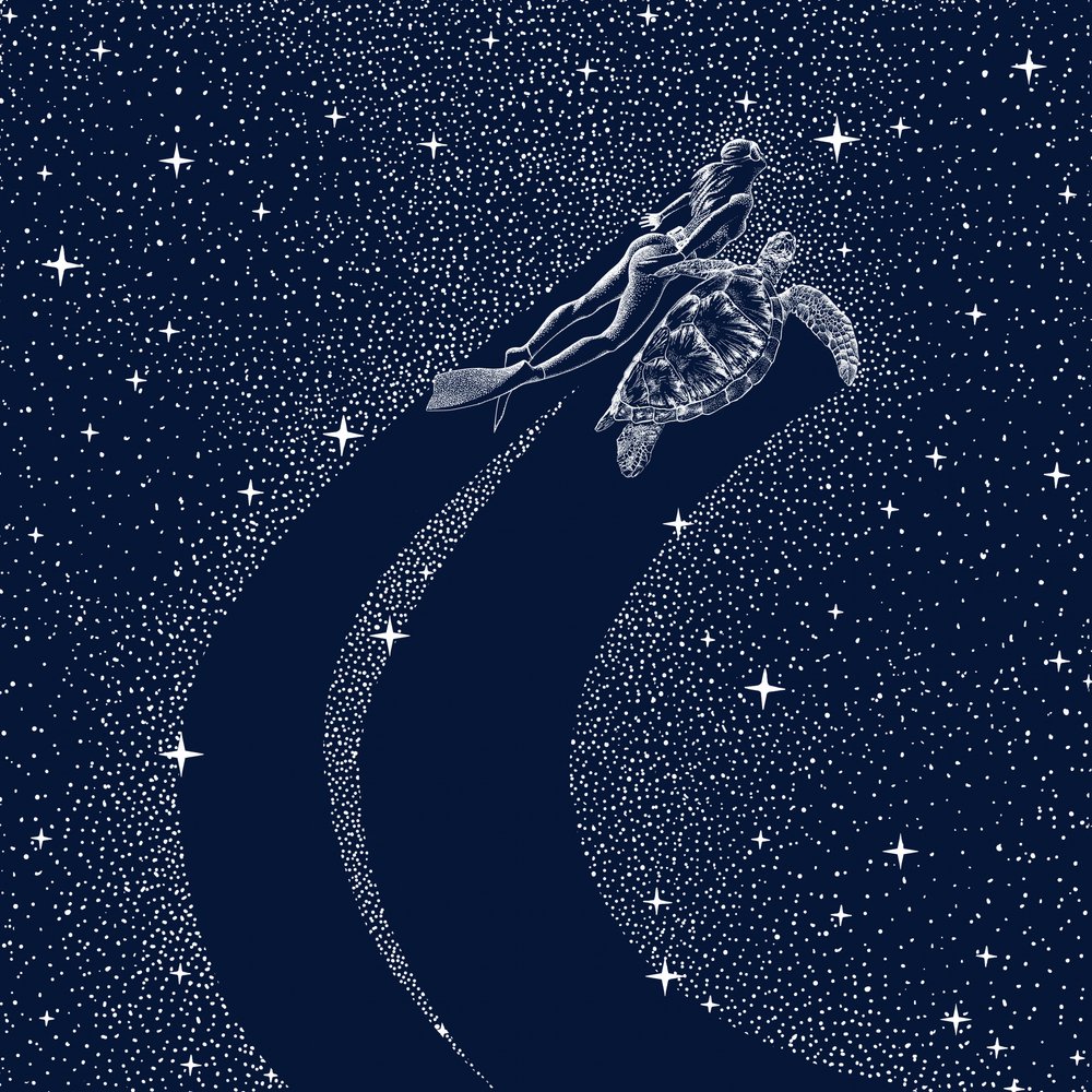 Rejsen gennem det stjerneklare hav af Alirıza ÇAKIR