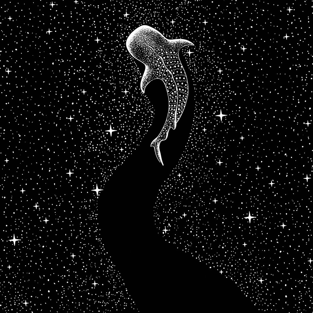 Rejse med stjernehajen af Alirıza ÇAKIR