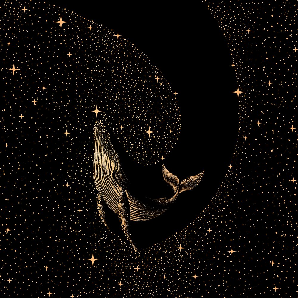 Hval blandt stjernerne af Alirıza ÇAKIR