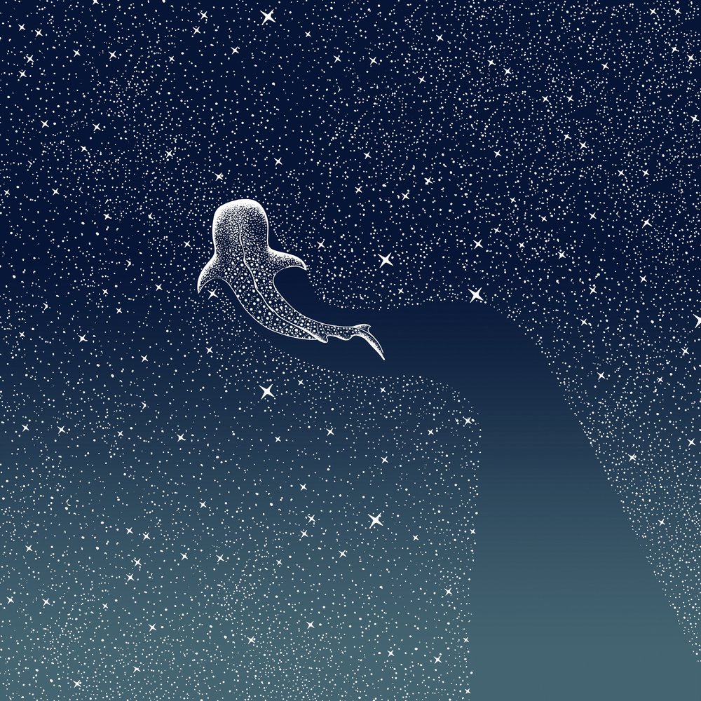 Hvalhaj-galaksen af Alirıza ÇAKIR