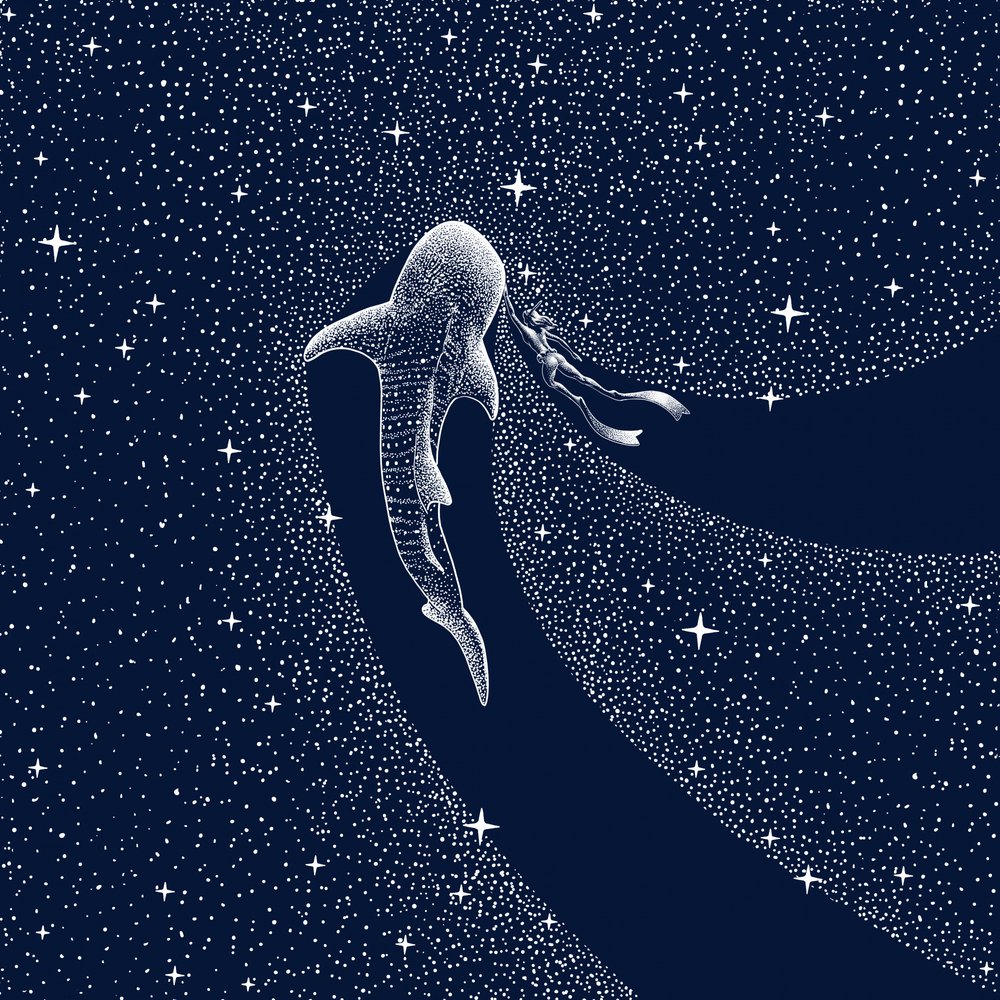 Rejsen gennem hvalhajernes galakse af Alirıza ÇAKIR