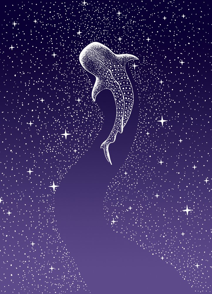 Svømning blandt hvalhajer i Galaxien af Alirıza ÇAKIR