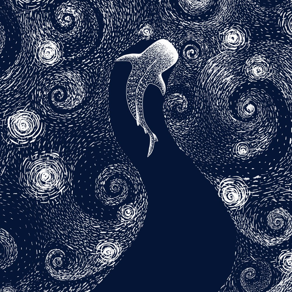 Hvalhajen i det stjerneklare hav af Alirıza ÇAKIR