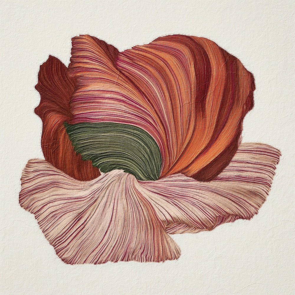 Farverig økologisk blomst af Alma