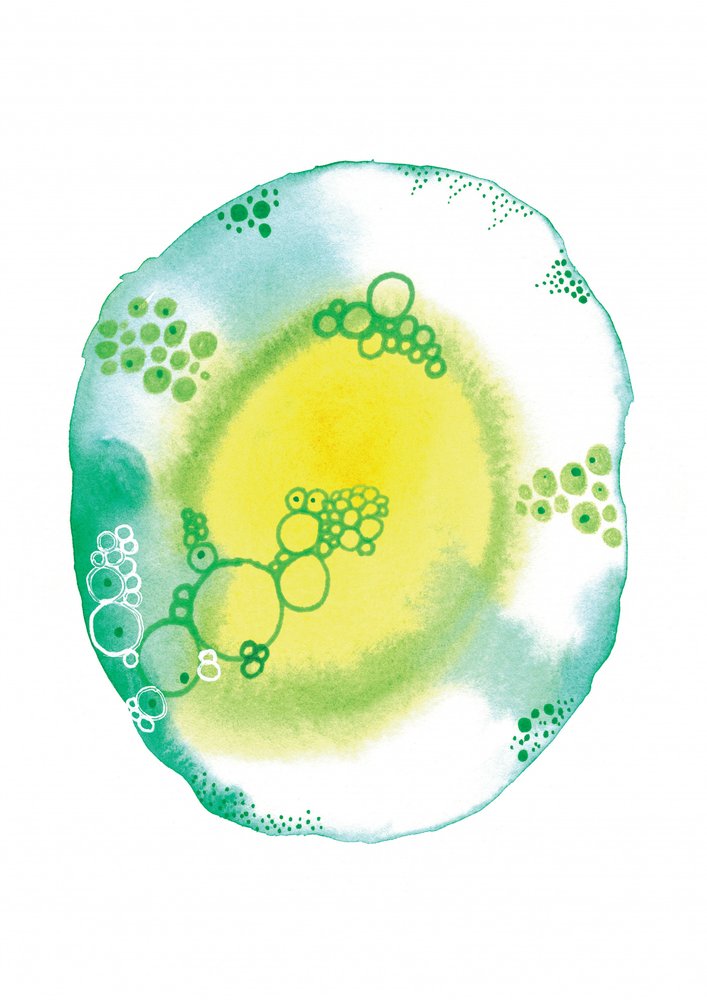 Organiske væskebobler af Amy Louise Baker