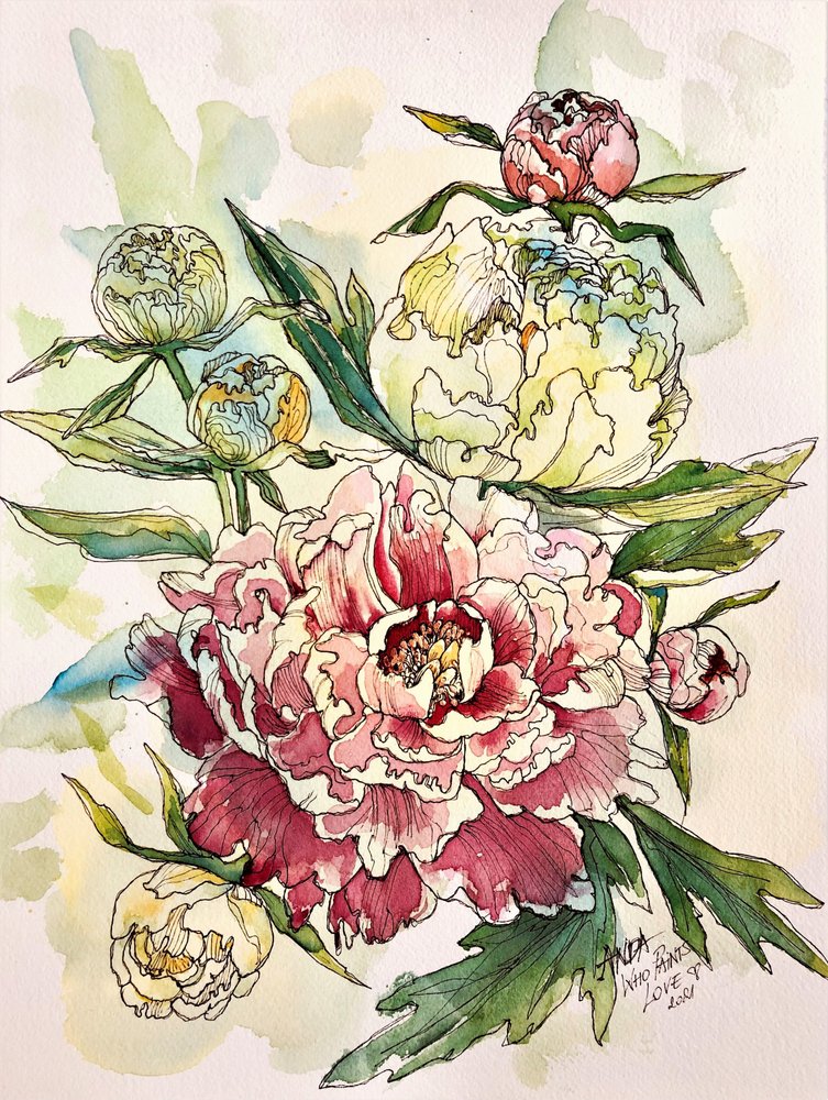 Blomstrende pæonhave af Anda Bieza