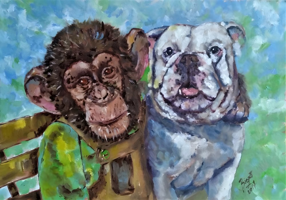 Chimpansen og bulldoggen – venner af Anda Bieza