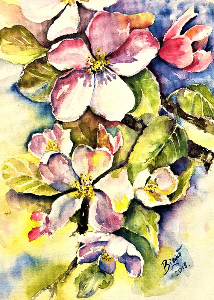 Forårsæbleblomster af Anda Bieza