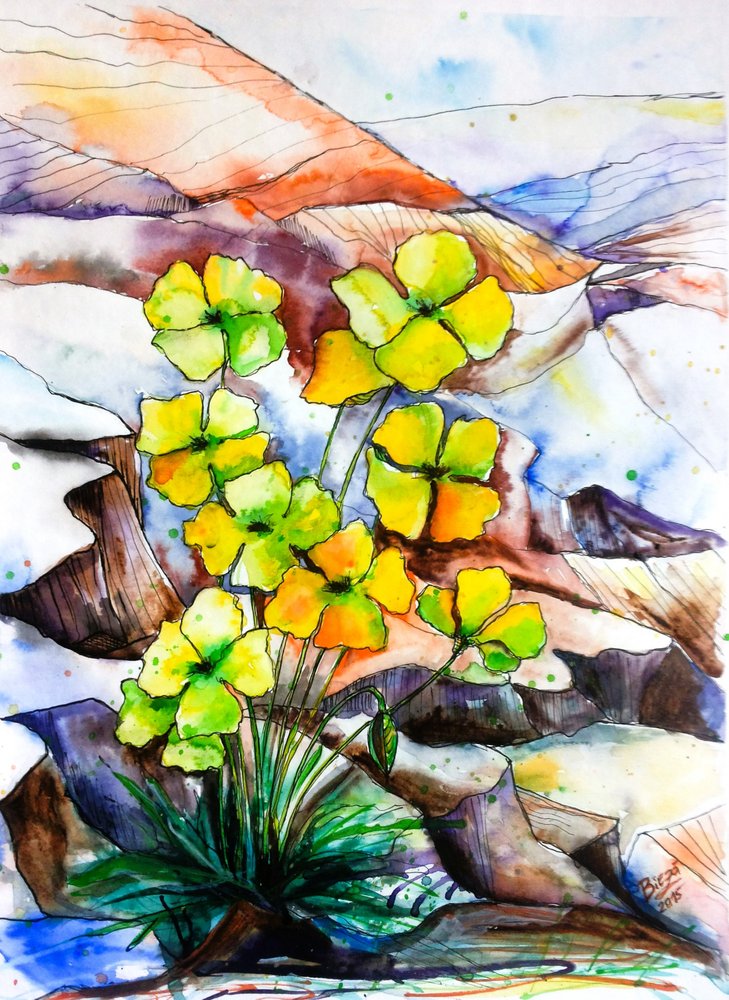 Farvestrålende bjergblomster af Anda Bieza
