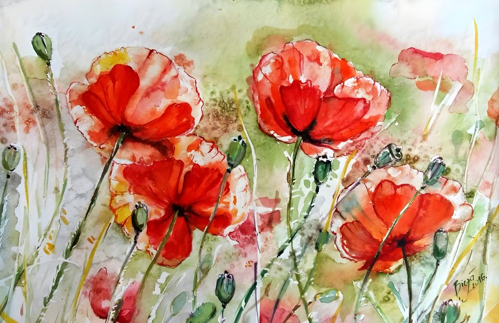  af Anda Bieza