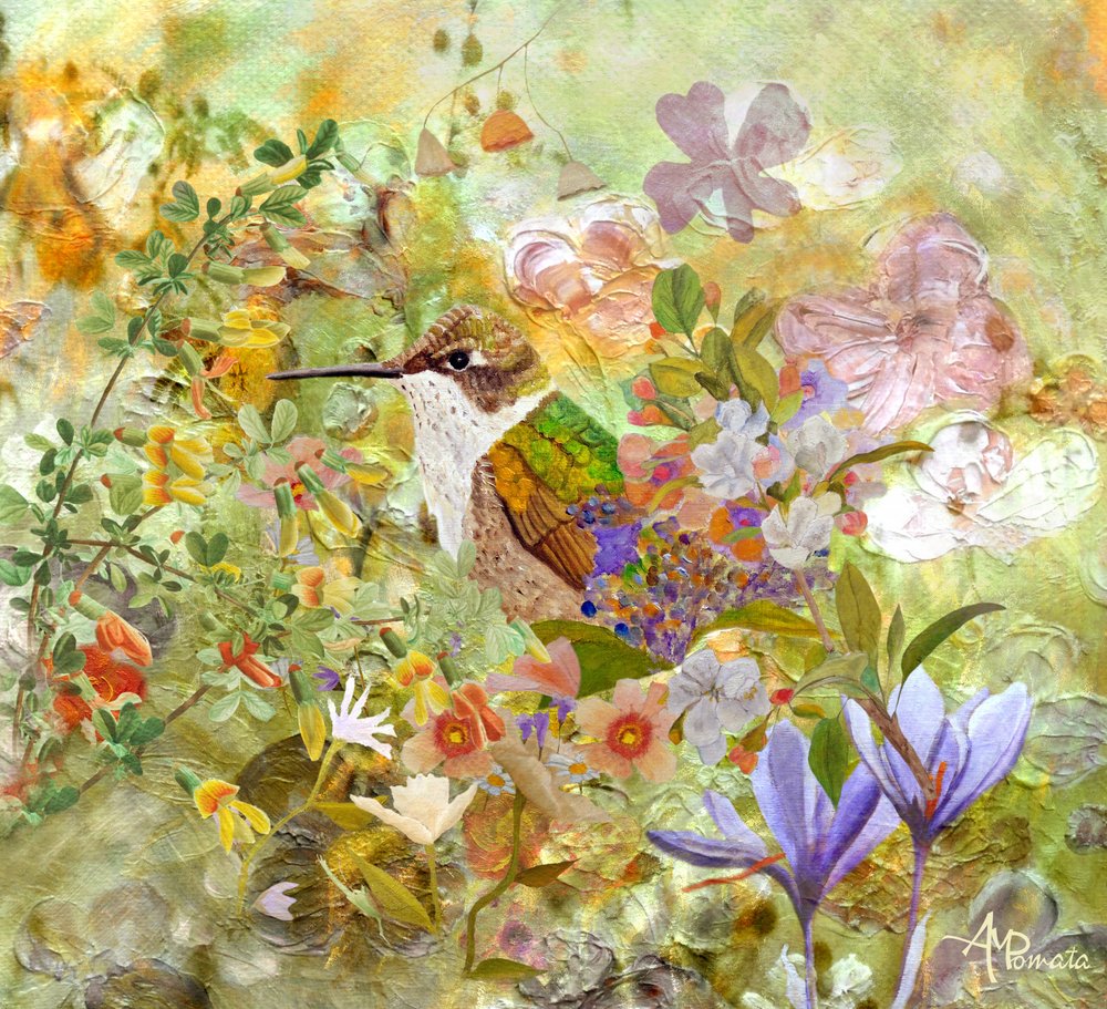 Blomster til kolibrihaven af Angeles M. Pomata