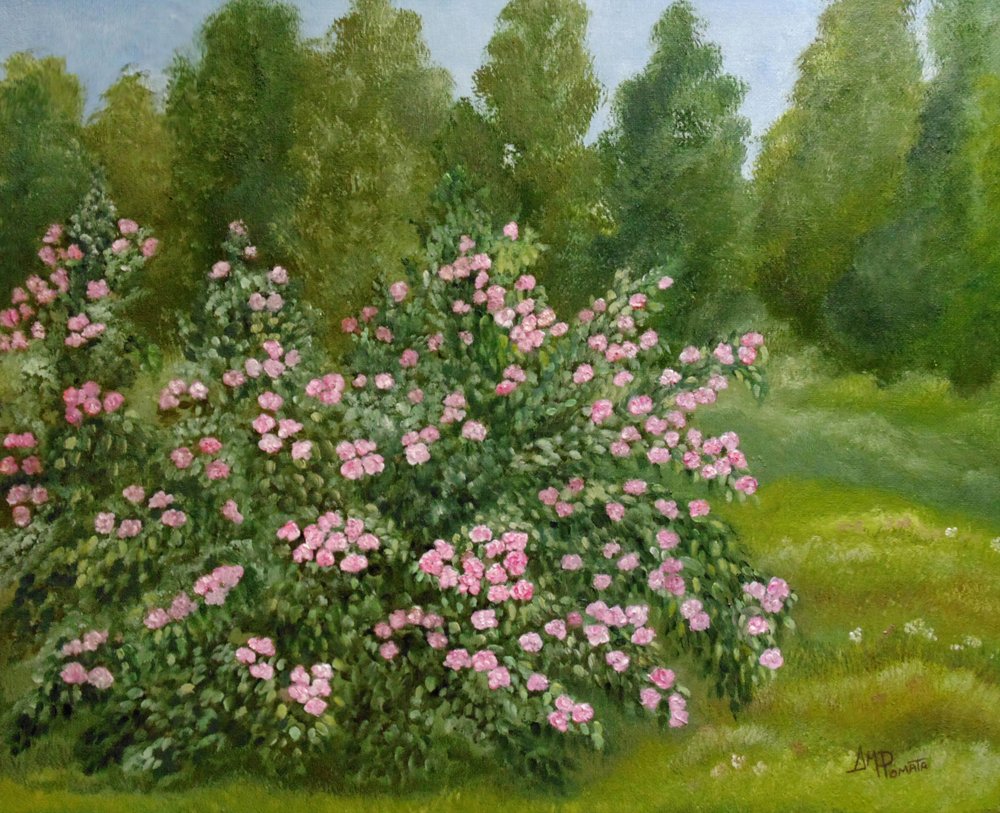 Den fredfyldte rosenhave af Angeles M. Pomata