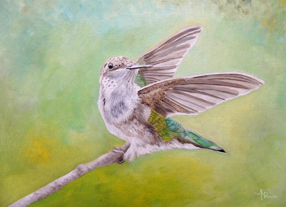 En kolibris udbredte vinger af Angeles M. Pomata