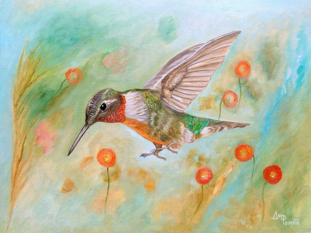Den livlige kolibris flyvning af Angeles M. Pomata