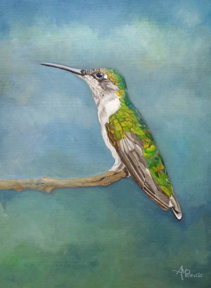 Farverig kolibri-siddeplads af Angeles M. Pomata