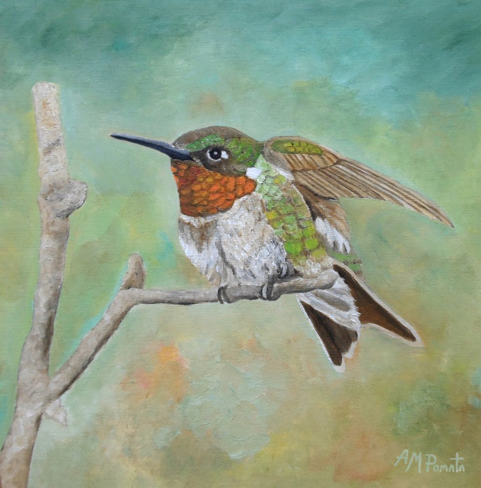 En livlig kolibri, der sidder på en gren af Angeles M. Pomata