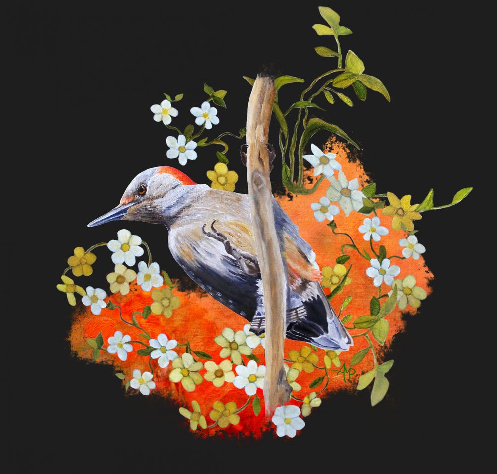 Livlig spætteblomst af Angeles M. Pomata