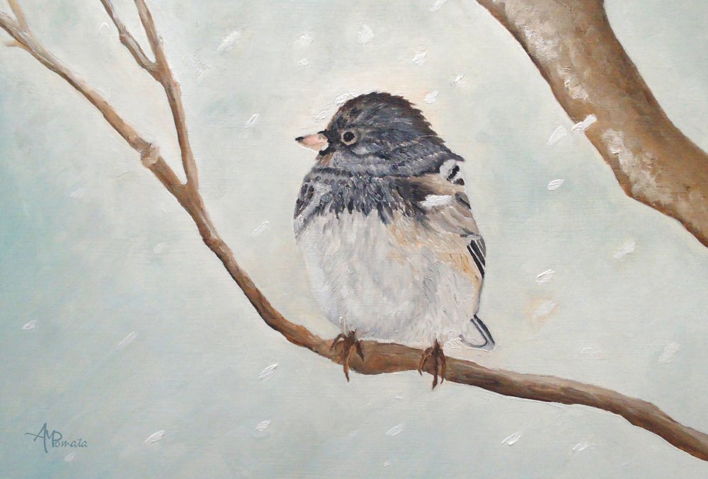 Vinterjunco af Angeles M. Pomata