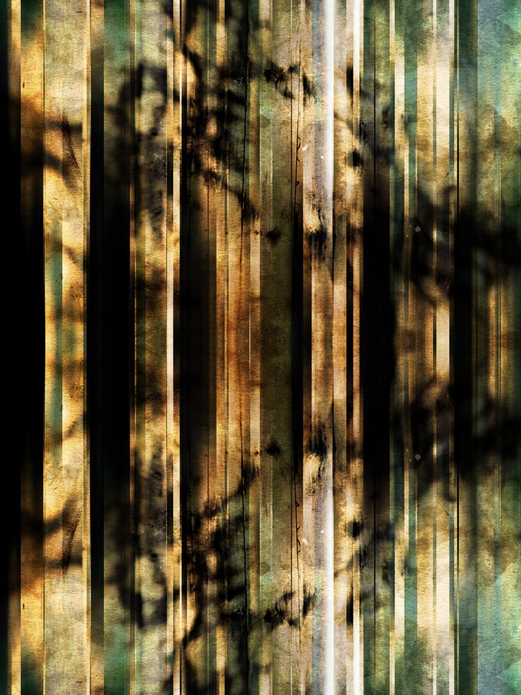 Abstrakt: Skovskygger af Angelo Cerantola