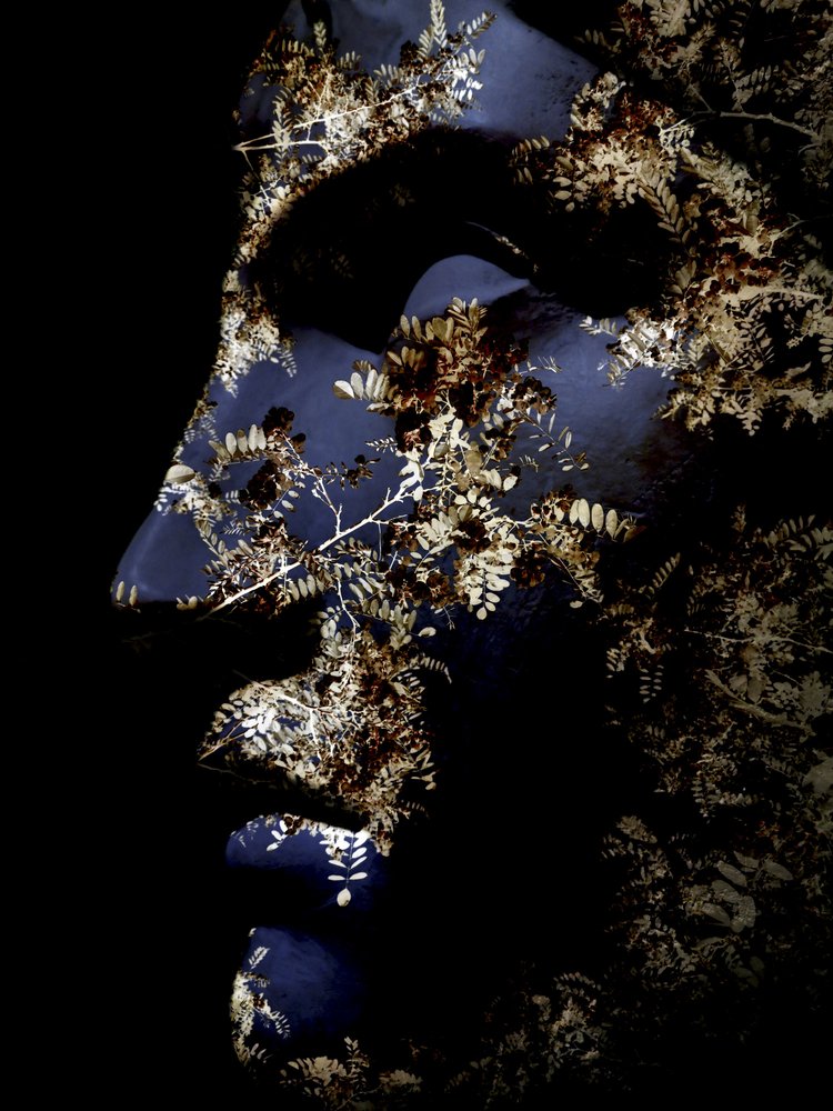 Rolig botanisk profil af Angelo Cerantola