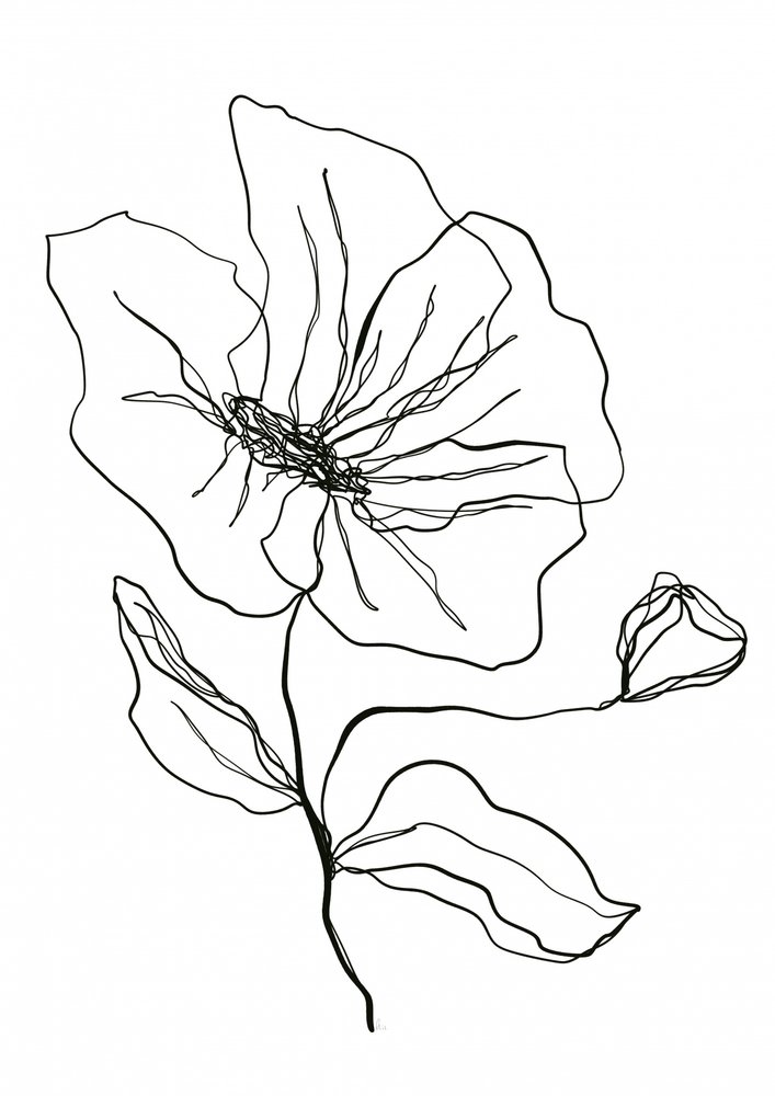 Skitse af en yndig blomst af Ankie Kooi