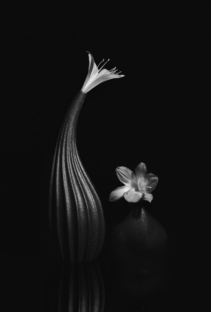 Elegant blomsterstilleben af Anna Qu