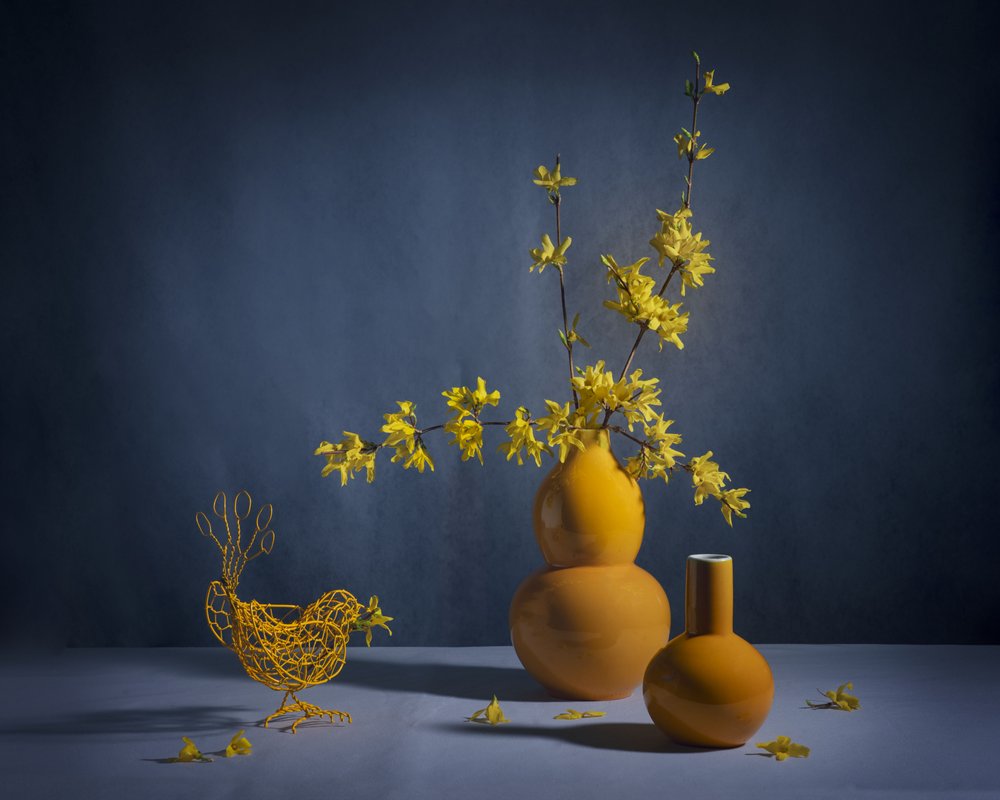 Stilleben med gylden forsythia af Anna Qu